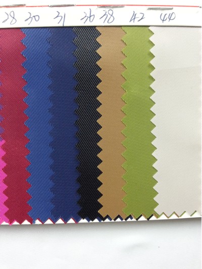 DG-BICG BC-2301 PL  背囊面料 細節-2